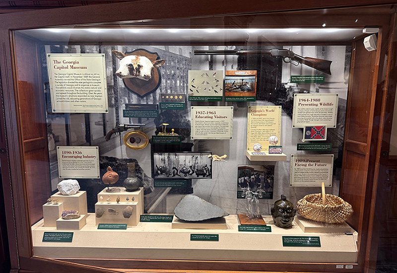 Museum display case with famous two-headed calf