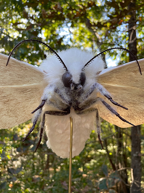 Model of giant bug