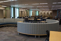 Quiet study zone on the third floor of the Science Library