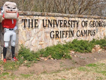 Mascot "Hairy Dawg" standing beside a stone wall that read "The University of Georgia Griffin Campus"