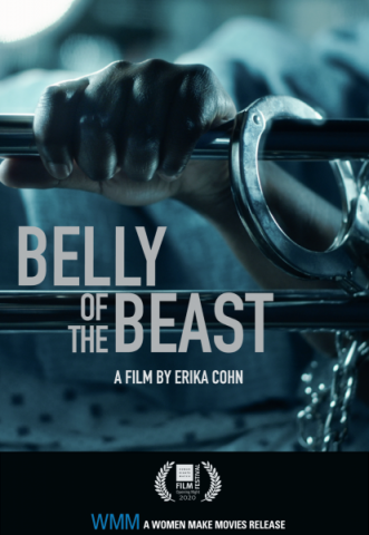 Poster for Belly of the Beast