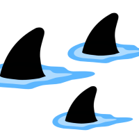 shark infested waters